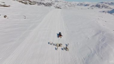 Kızak Köpekleri, Huskiler, Kar, Kızak, Musher