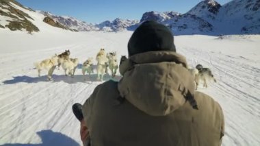 Kızak Köpekleri, Huskiler, Kar, Kızak, Musher