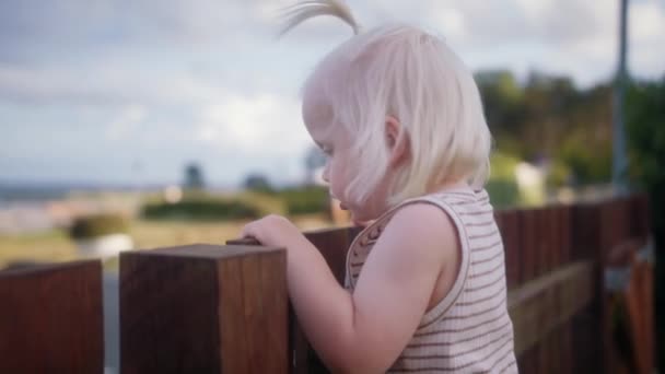 Średniej Bliskości Ujęcie Dziecka Wspinającego Się Drewniany Płot Następnie Otwiera — Wideo stockowe