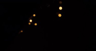 Hareket eden bokeh efektli çatırdayan söğüt ağacı havai fişeklerini gösteren bir video