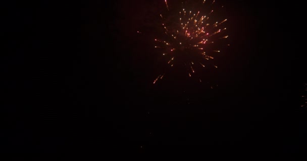 Una Serie Scintillanti Fuochi Artificio Scintillanti Contro Cielo Notturno — Video Stock