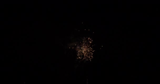Video Iluminación Simultánea Fuegos Artificiales Purpurina Centrados Marco — Vídeos de Stock