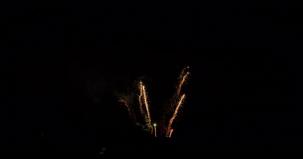 Egyidejű Világítás Üstökös Típusú Tűzijáték Ellen Sötét Éjszakai Égbolt — Stock videók