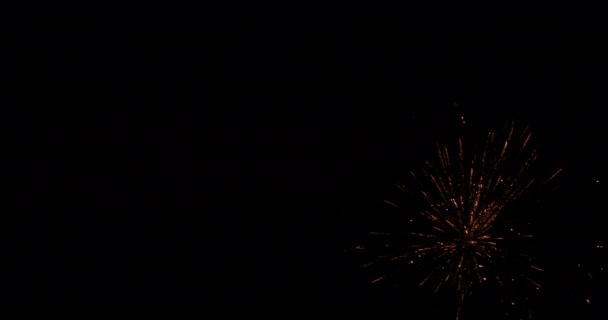 様々な花火が空を照らすスライドカメラビュー — ストック動画