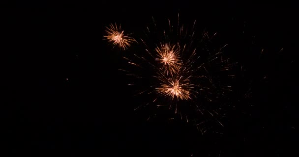 껍데기 불꽃놀이의 조명을 비디오 — 비디오
