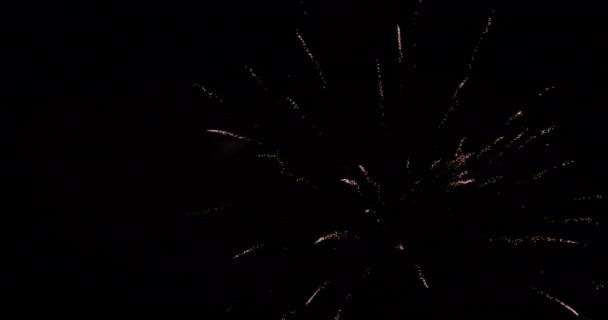 Iluminação Simultânea Fogos Artifício Tipo Salgueiro Contra Céu Noturno Escuro — Vídeo de Stock