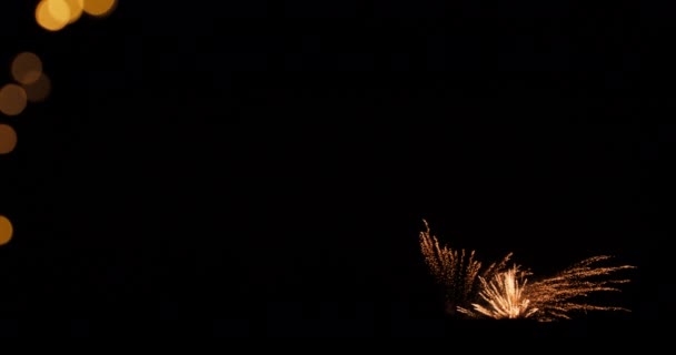 Samtidig Belysning Fyrverkeri Kamuro Mot Den Mørke Nattehimmelen – stockvideo