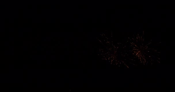 밤하늘을 밝히는 불꽃놀이 — 비디오