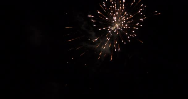 夜空を照らす黄金の花火の映像 — ストック動画