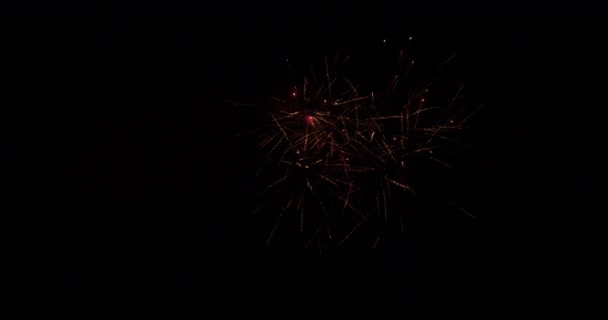 暗い夜空に向かって散乱花火の同時照明を示すビデオ — ストック動画