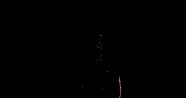 Video Che Mostra Fuochi Artificio Che Muovono Verso Alto Poi — Video Stock