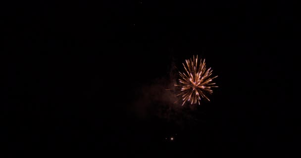 Egy Videó Brokád Kísértethéjas Tűzijáték Keverékét Mutatja — Stock videók