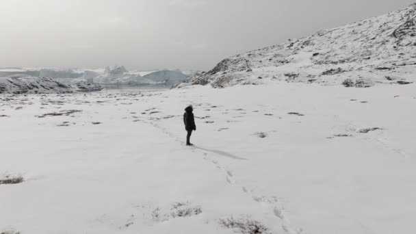 Orbitális Lövés Egy Magányos Emberről Aki Körülnéz Hóban Ilulissatban — Stock videók