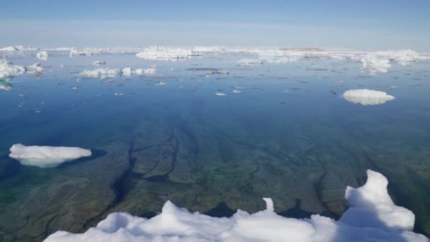 Sebuah Wide Shot Gunung Mengambang Tersebar Laut Ilulissat — Stok Video