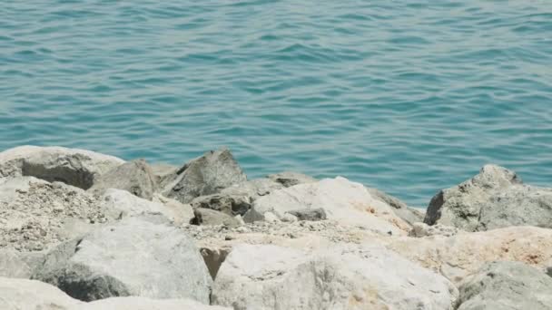 Вигляд Камери Скелях Переходять Приватну Яхту Морі Бурдж Аль Араб — стокове відео