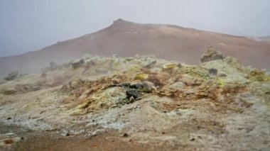 Arka planda su yosunu ve buharlı kayaların düşük açılı görüntüsü.