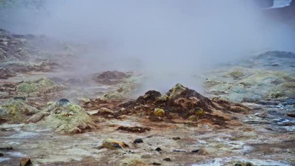 Vídeo Mostrando Fumarola Fumegante Com Algas Myvatn Islândia — Vídeo de Stock