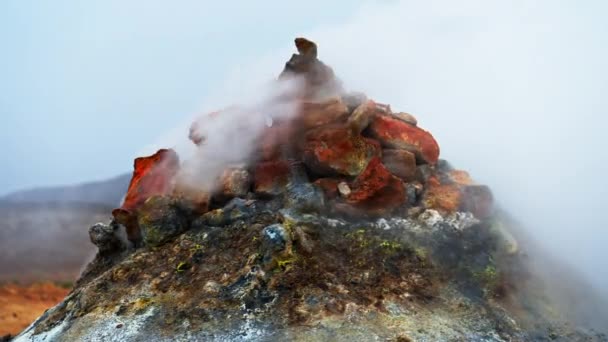 一张特写照片 照片上有一个冒着水藻的蒸汽球面对着一个模糊的回圈 — 图库视频影像