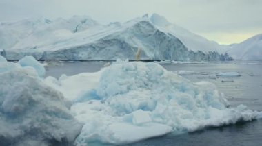 Martı, Buzdağı, Deniz, Kıyı, Okyanus