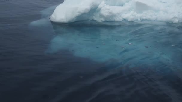Θάλασσα Πάγος Παγόβουνο Κρύο Γροιλανδία — Αρχείο Βίντεο