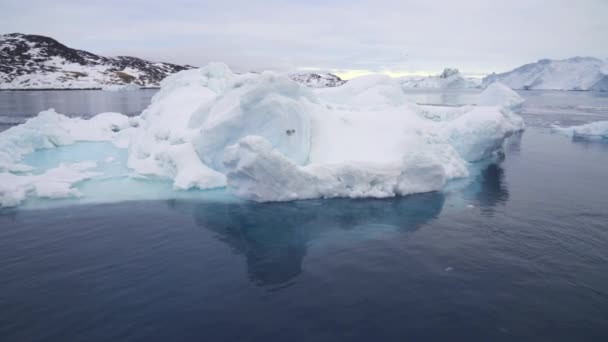 Море Айсберг Береговая Линия Гренландия Холодное Море — стоковое видео