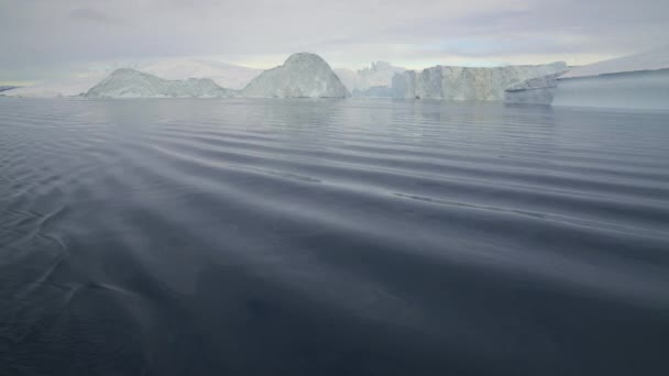 Речки Море Океан Айсберг Гренландия — стоковое видео