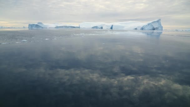 Ledovec Seascape Oceán Led Odraz — Stock video