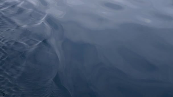 Voda Moře Povrch Vzor Oceán — Stock video