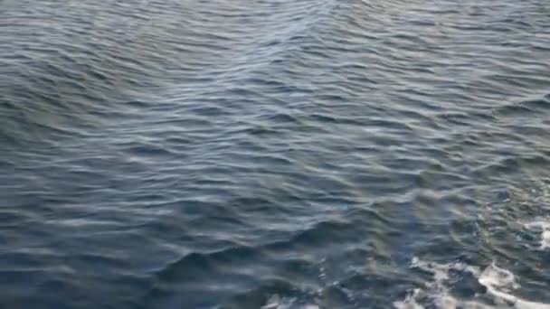Dalgalar Deniz Okyanus Yüzey Dalgalar — Stok video
