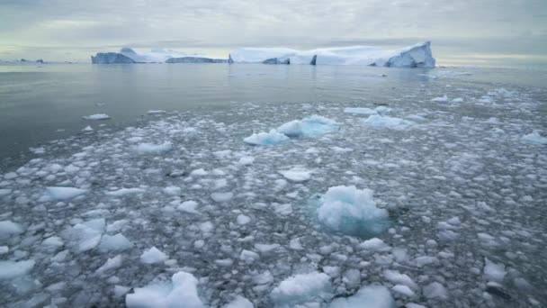 Sea Motion Ice Frozen Icebergs — Stock Video