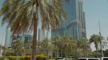 Palmiye Ağacı, Şehir, Gökdelen, Burç Halife, Dubai