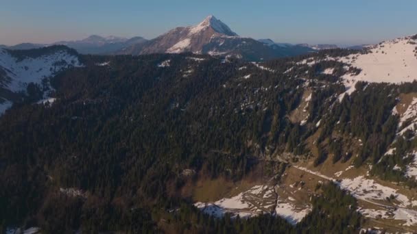 Gündüz Vakti Karlı Bir Dağın Ormanlı Bölgesini Gösteren Hava Görüntüsü — Stok video