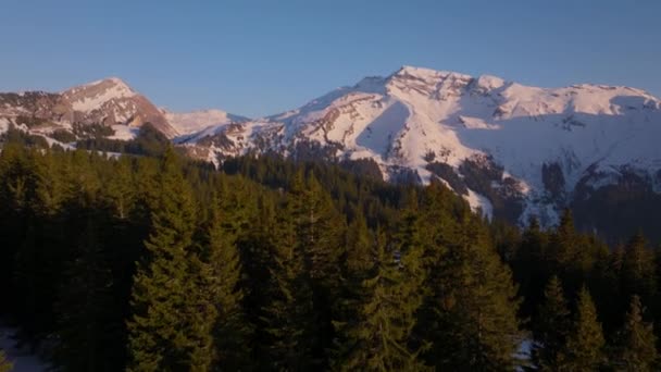 Alp Ağaçlarıyla Kaplı Bir Dağın Gündüz Insansız Hava Aracı Görüntüleri — Stok video