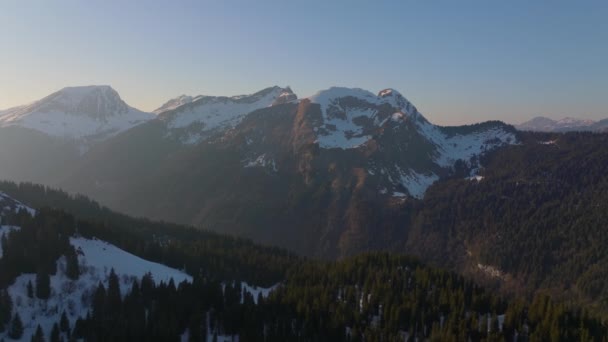 昼間に雪に覆われた山の深い森林地帯を示すドローンショット — ストック動画