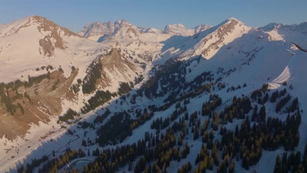Drohnenaufnahmen Von Alpenbäumen Auf Einem Schneebedeckten Berg Unter Sonnenlicht Und — Stockvideo