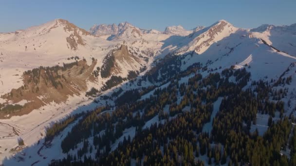 Drohnenbild Zeigt Kiefern Rande Eines Schneebedeckten Berges Unter Blauem Himmel — Stockvideo