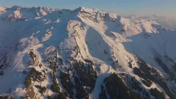雪に覆われた山頂の尾根に沿って高山の木を示す昼間の無人偵察機ショット — ストック動画