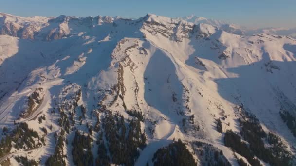 Overdag Drone Shot Van Een Besneeuwde Bergtop Met Alpiene Bomen — Stockvideo