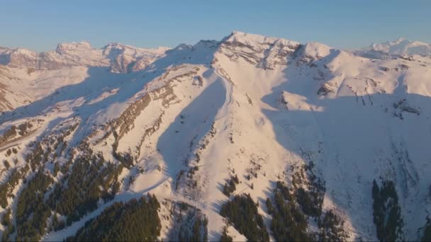 Overdag Drone Shot Toont Uitgestrekte Alpine Bomen Langs Bergkam Van — Stockvideo