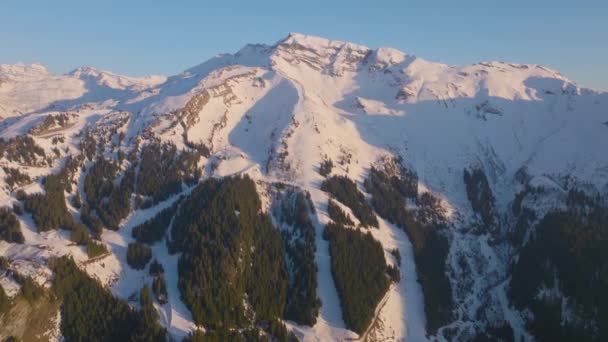 雪の山の頂上の斜面に沿って高山の木の昼間のドローンショット — ストック動画