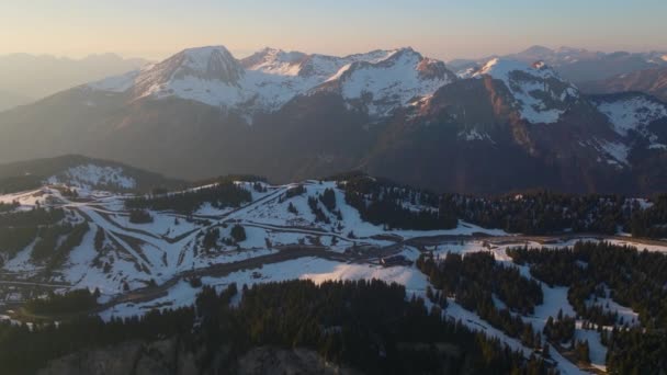 Tagsüber Aufgenommene Drohne Zeigt Die Riesigen Alpinen Bäume Entlang Eines — Stockvideo