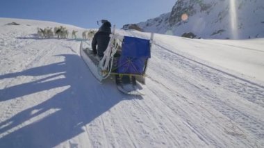 Kızak, Huskies, Dogs, Snow, Men