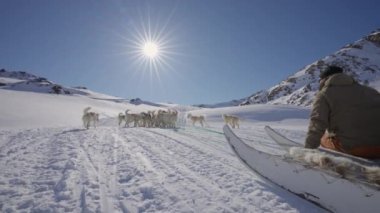 Kızak, Huskies, Snow, Lens, Men