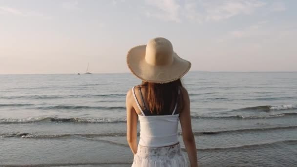 Pohled Zezadu Mladou Dívku Kráčející Moři — Stock video