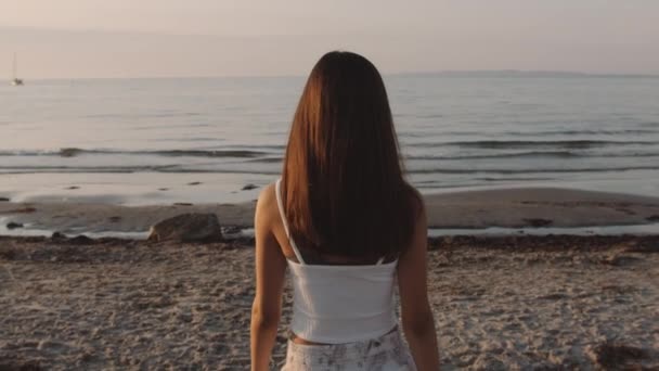 Uma Visão Traseira Uma Jovem Garota Tirando Fotos Litoral — Vídeo de Stock