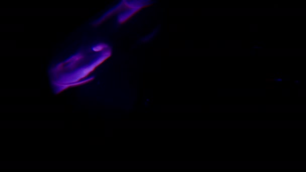 彼女に焦点を当てた紫色のスポットライトと暗い背景に空中フープでアクロバティックな女性を示す複製効果のあるビデオ — ストック動画