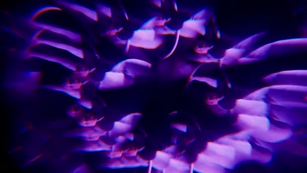 彼女に焦点を当てた紫色のスポットライトと暗い背景に空の輪の上に座っている女性を示す複製とぼやけた効果を持つビデオ — ストック動画