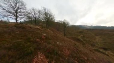 İnsansız hava aracı tepedeki bir kuleye yaklaşırken çayırların üzerinde uçar.