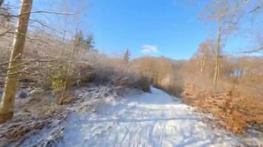 FPV drone karlı bir ormanda gündüz vakti çam ağaçlarının üzerinde serbest stil numaraları yapıyor.