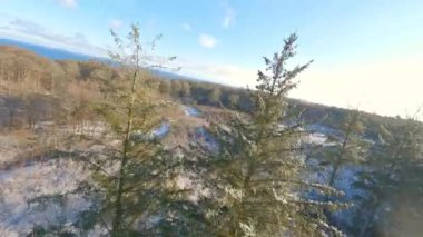 İnsansız hava aracı ağaçlar arasında hızlı ve alçaktan uçuyor ve gün boyunca karla kaplı zeminin üstünde.